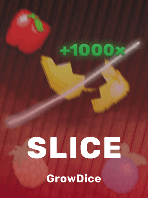 Slice
